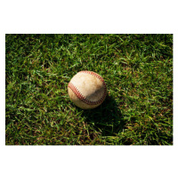 Fotografie Baseball on grass field, Shawn Waldron, 40x26.7 cm