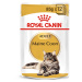 ROYAL CANIN Maine Coon Adult granule pro kočky 12 × 85 g
