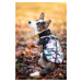 Vsepropejska Pinta zimní bunda pro psa s postrojem Barva: Růžová, Délka zad (cm): 34, Obvod hrud
