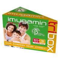 Imugamin Effective 60+15 tablet