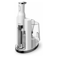 Lauben Stick Blender 800AT