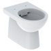 Geberit Selnova - Stojící WC, zadní/spodní odpad, Rimfree, bílá 500.393.01.7