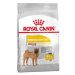 Royal Canin CCN Medium Dermacomfort - Výhodné balení 2 x 10 kg