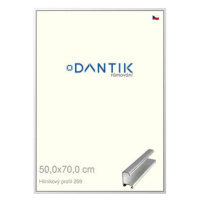 DANTIK rámeček 50 × 70, ALU profil 7269 Stříbrný lesklý plexi čiré