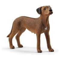 Schleich 13895 ridgback rhodéský