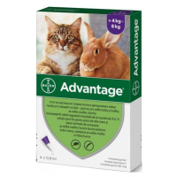 Bayer Advantage 80mg spot-on kočka, králík 4-8kg 4x0,8ml