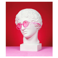 Fotografie Head sculpture with pink eyeglasses, lambada, 35 × 40 cm