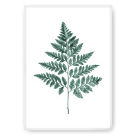 Dekoria Plakát Fern Emerald Green, 30 x 40 cm, Ramka: Biała