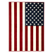 Alfa Carpets  Kusový koberec American flag - 120x170 cm