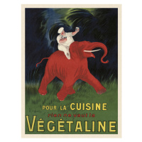 Obrazová reprodukce Végétaline (Vintage Ad Ft. Elephant) - Leonetto Cappiello, (30 x 40 cm)