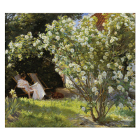 Umělecký tisk Marie v zahradě (Růže), Peder Severin Kroyer, 70x50 cm
