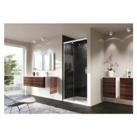 Sprchové dveře 160 cm Hüppe Aura elegance 401408.092.322