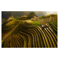 Fotografie Mu Cang Chai Vietnam, Dao Tan Phat, (40 x 26.7 cm)