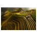 Fotografie Mu Cang Chai Vietnam, Dao Tan Phat, 40 × 26.7 cm