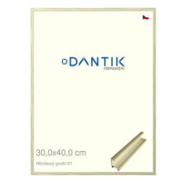 DANTIK rámeček 30 × 40, ALU profil 7001 zlatý lesklý alternativa plexi čiré