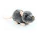 plyšová myš, 16 cm