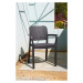 Zahradní židle Samanna - 53 x 58 x 83 cm - Brown