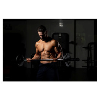 Umělecká fotografie Biceps Exercise With Barbell, Wirestock, (40 x 26.7 cm)