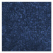 COBA Rohož pro zachycování nečistot pro vnitřní prostory, vlas z PP, d x š 1800 x 1200 mm, modrá