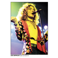 Plakát, Obraz - Led Zppelin - Robert Plant, (59.4 x 84.1 cm)