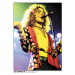 Plakát, Obraz - Led Zppelin - Robert Plant, (59.4 x 84.1 cm)