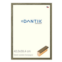 DANTIK rámeček 42 × 59,4, Metalli oidati champagne plexi čiré