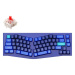 Keychron QMK Q8 65% Ergonomic Gateron G Pro Hot-Swappable Red Switch Mechanical, Blue - US