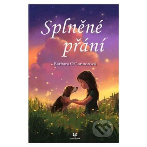 Splněné přání - Barbara O´Connor - kniha z kategorie Beletrie pro děti bambook