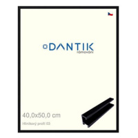 DANTIK rámeček 40 × 50, ALU profil 7003 Černý Florentinský plexi čiré