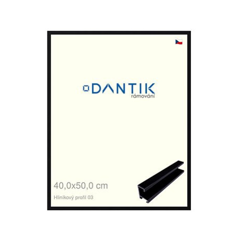 DANTIK rámeček 40 × 50, ALU profil 7003 Černý Florentinský plexi čiré