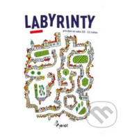 Labyrinty - Jan Jiskra - kniha z kategorie Hlavolamy