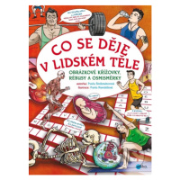 Co se děje v lidském těle - Pavla Šmikmátorová, Pavla Navrátilová (ilustrácie) - kniha z kategor