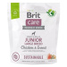 Brit Care Dog Sustainable s kuřecím a hmyzem Junior Large Breed 1 kg