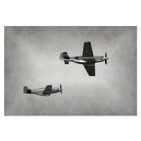 Fotografie Old fighter planes, icholakov, 40 × 26.7 cm