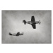 Fotografie Old fighter planes, icholakov, 40 × 26.7 cm