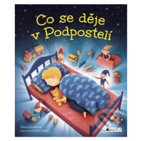 Co se děje v Podpostelí - Hana Lehečková, Ondřej Dolejší (ilustrácie) - kniha z kategorie Beletr