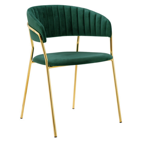 ArtKing Jídelní židle MARGO Barva: Zelená