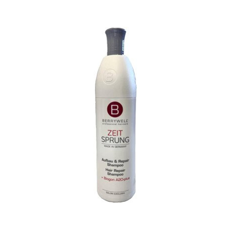 BERRYWELL Zeit Sprung Hair Repair Shampoo 1001 ml