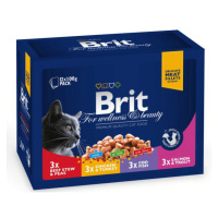 Brit Premium Cat Family multipack 12 x 100 g