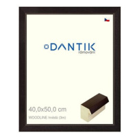 DANTIK rámeček 40 × 50, WOODLINE hnědý plexi čiré