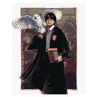 Zuty Malování podle čísel Harry Potter a Hedvika v Bradavicích