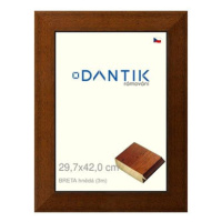 DANTIK rámeček 29,7 × 42, BRETA hnědý plexi čiré