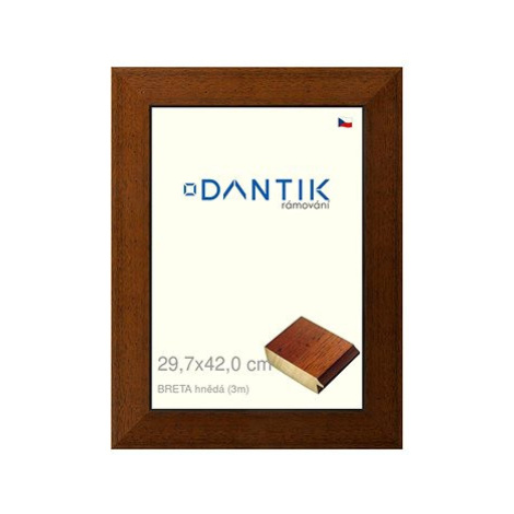 DANTIK rámeček 29,7 × 42, BRETA hnědý plexi čiré