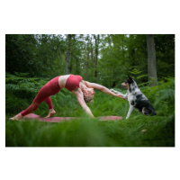 Fotografie Young woman practicing yoga in nature, IzaLysonArts / 500px, 40 × 26.7 cm