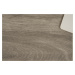 PVC podlaha Xtreme Pure Oak 904M - dub - Rozměr na míru cm