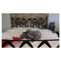 Kovová postel Ronda Rozměr: 180x200 cm, barva kovu: 4 černozlatá