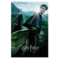 Umělecký tisk Harry Potter and the Goblet of Fire - Cedric, 26.7 × 40 cm