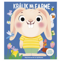 Králik na farme