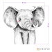 Samolepky do dětského pokoje - Velký slon v černobílé barvě