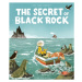 The Secret of Black Rock - Joe Todd-Stanton - kniha z kategorie Beletrie pro děti